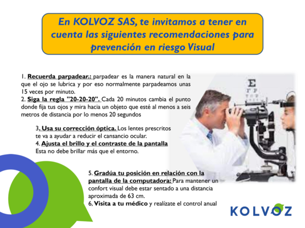 PROGRAMA DE VIGILANCIA EPIDEMIOLOGICO VISUAL